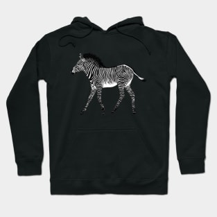 Zebra foal - ink illustration Hoodie